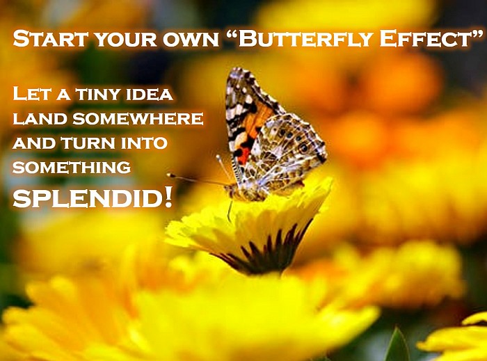 The Butterfly Connection is ready to start your project as soon as you send us an email.