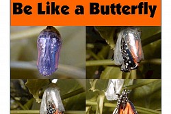 Be Like a Butterfly--10 Steps to Help You Make Changes in Your Life eBook