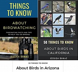 50 Things to Know About Birds and Birdwatching - 3 eBooks now on Amazon