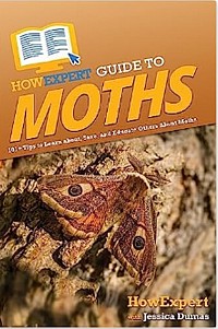 Moths