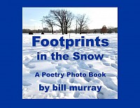Footprints in the Snow cover